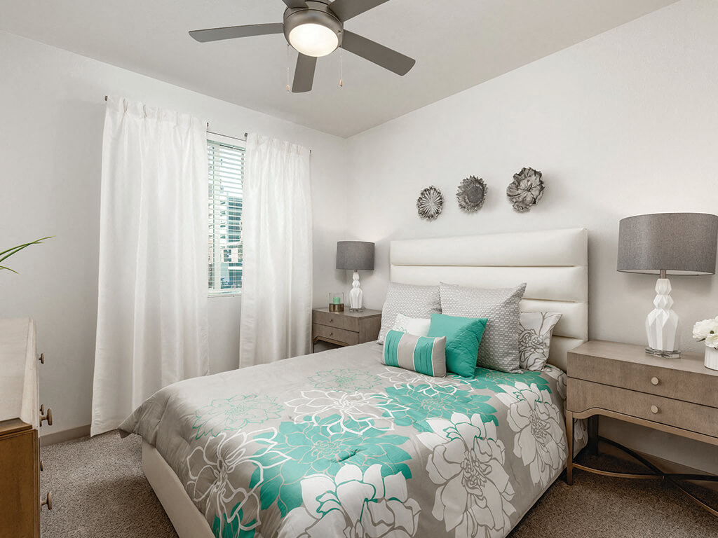 Norte Town Lake Apartments photo 3